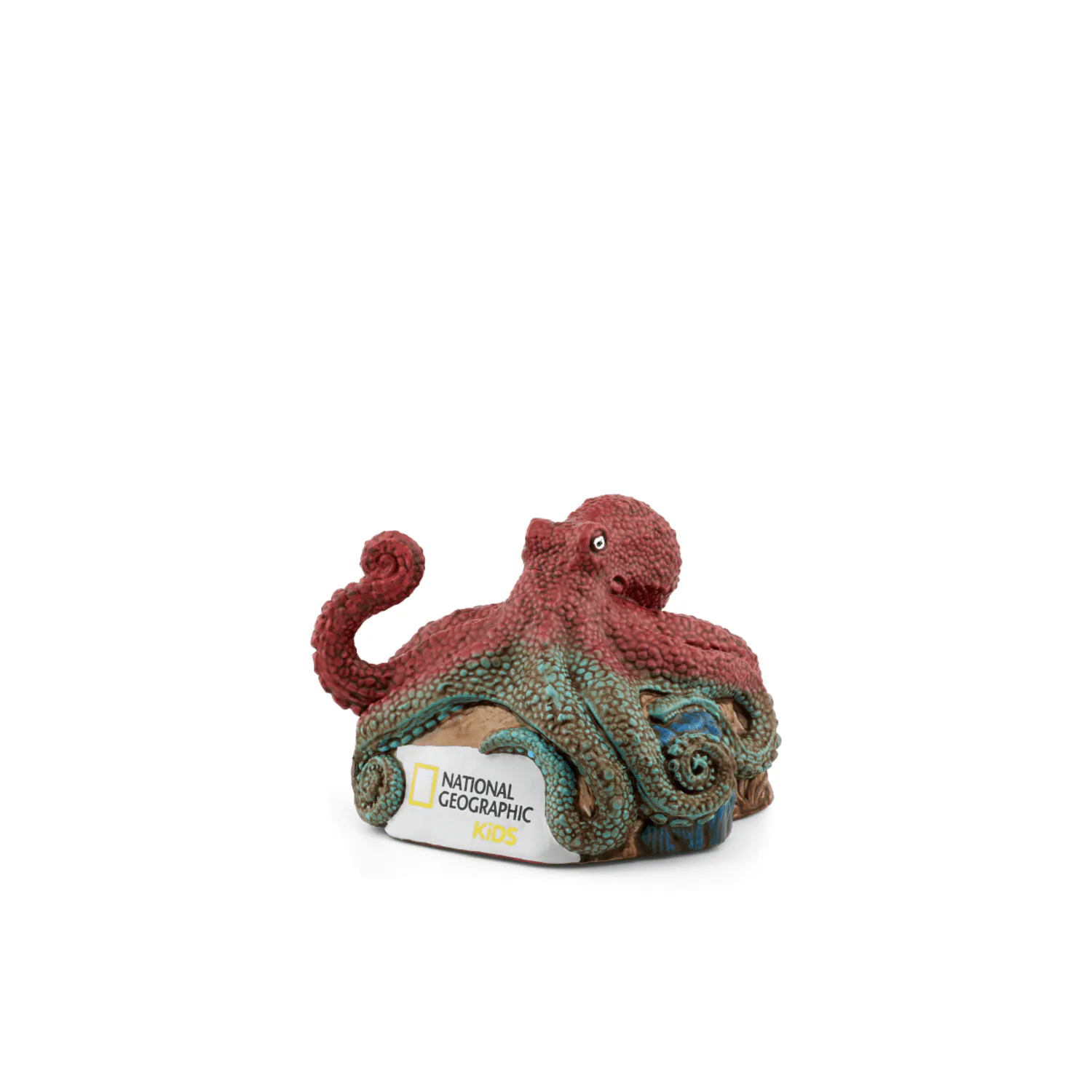 Livre Audio National Geographic Kids - Octopus — My KoleK