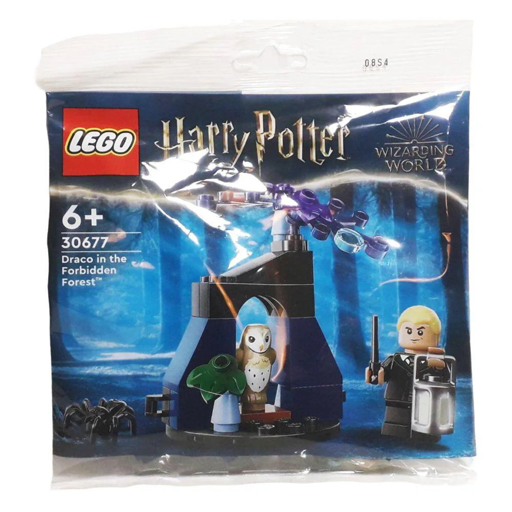Sets de construction (2024) - KLEGO20_30677 Lego Harry Potter, Draco in the Forbidden Forest — My KoleK